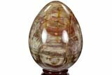 Colorful, Polished Petrified Wood Egg - Triassic #107397-1